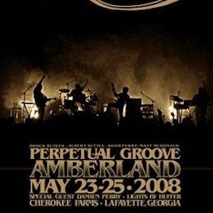 2008 Perpetual Groove Amberland