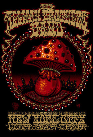 2010 Allman Brothers Palace Theatre - Zen Dragon Gallery