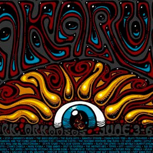 2010 Wakarusa Festival