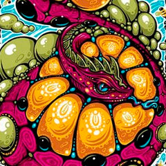 2015 Widespread Panic Summer Tour - Zen Dragon Gallery