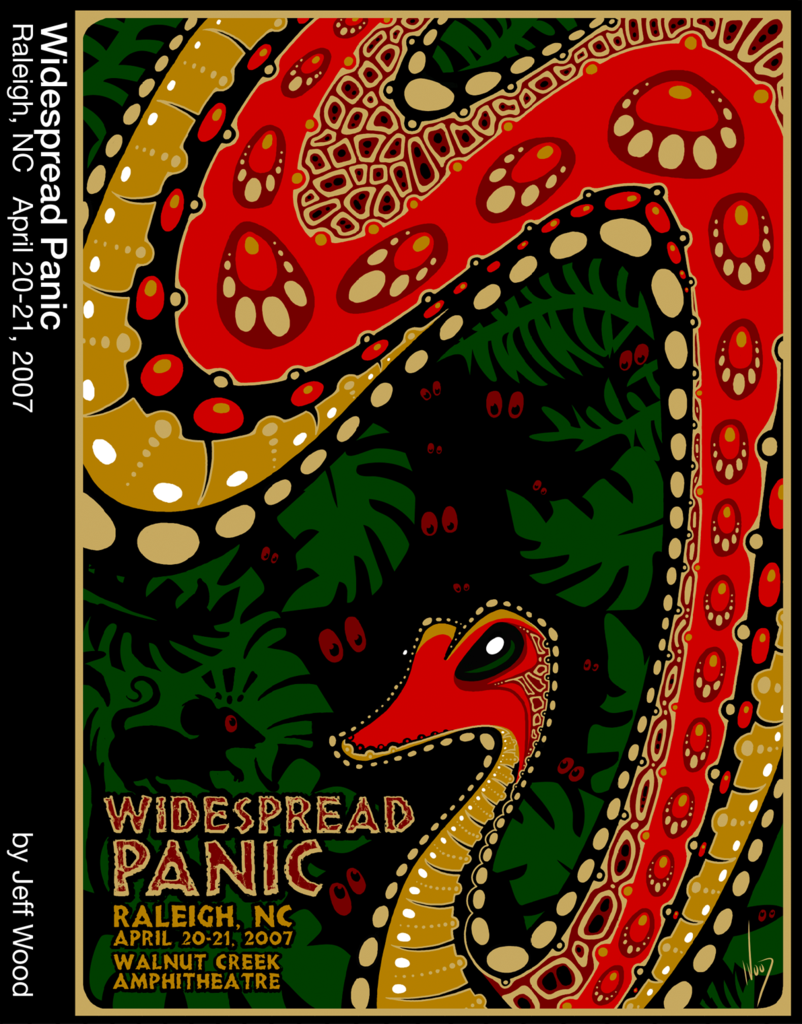 Widespread Panic Raleigh Puzzle