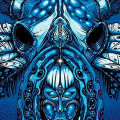 2014 Widespread Panic Charlotte NYE - Zen Dragon Gallery